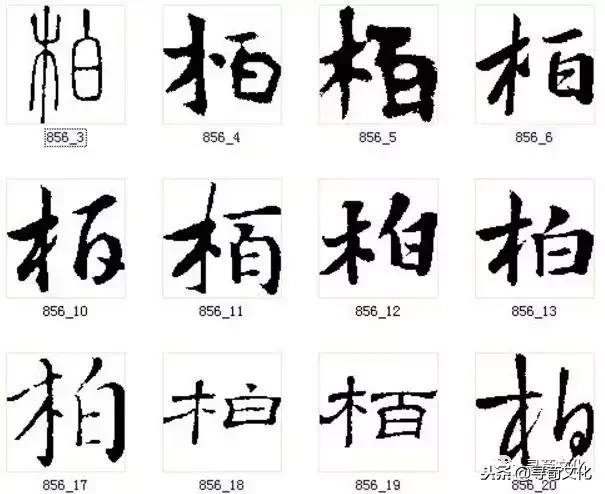 柏汉字怎么读,柏字汉字演变