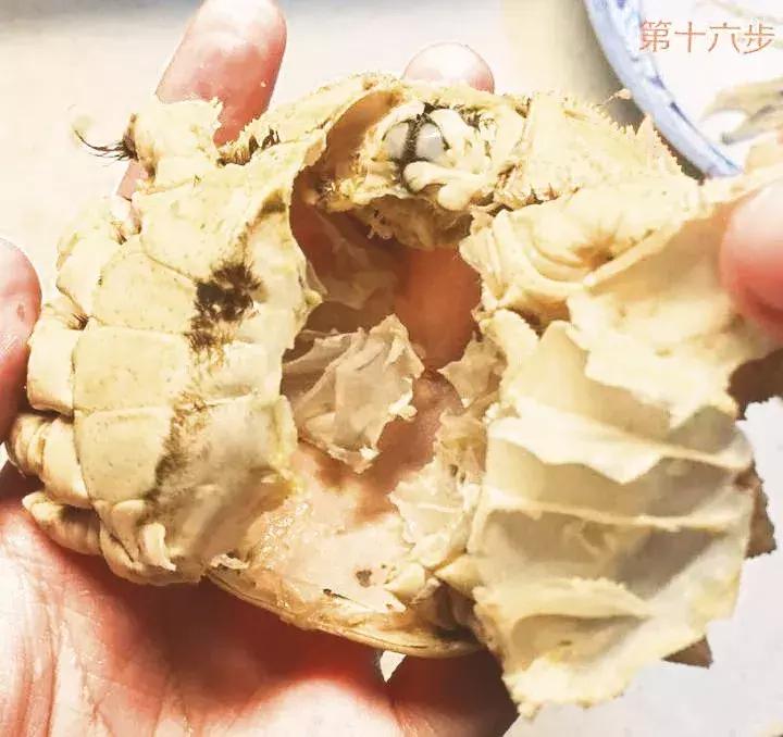 吃螃蟹标准方法,手把手教你怎样吃螃蟹教程