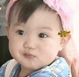 大抓产业大抓项目大抓招商,大抓工业重抓制造业