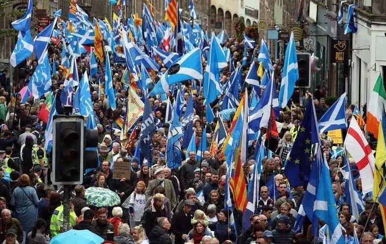 外国人为什么这么喜欢大熊猫呢,外国人究竟有多爱大熊猫