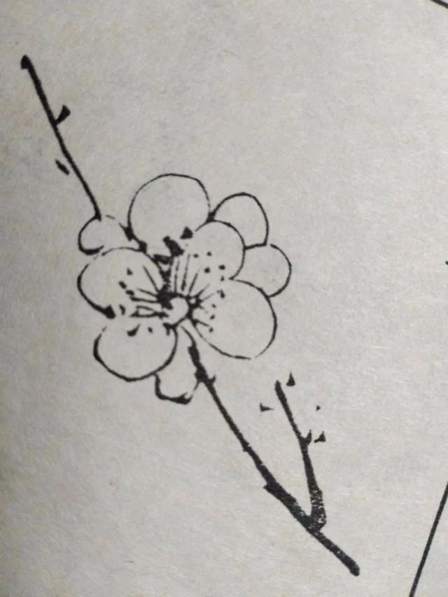 梅花该怎么画才好看,梅花用什么笔画最好看