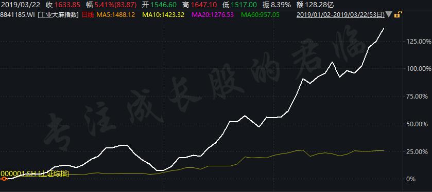 神奇！工业*麻大**，一种让投资者兴奋的*麻大**