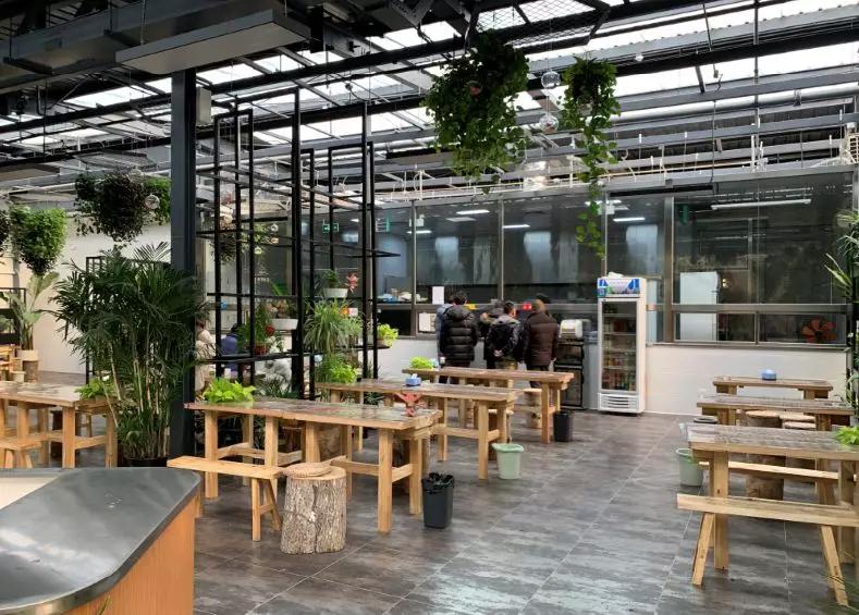 小编整理！丰台四大花市逛买攻略！春节就要这喜庆劲儿