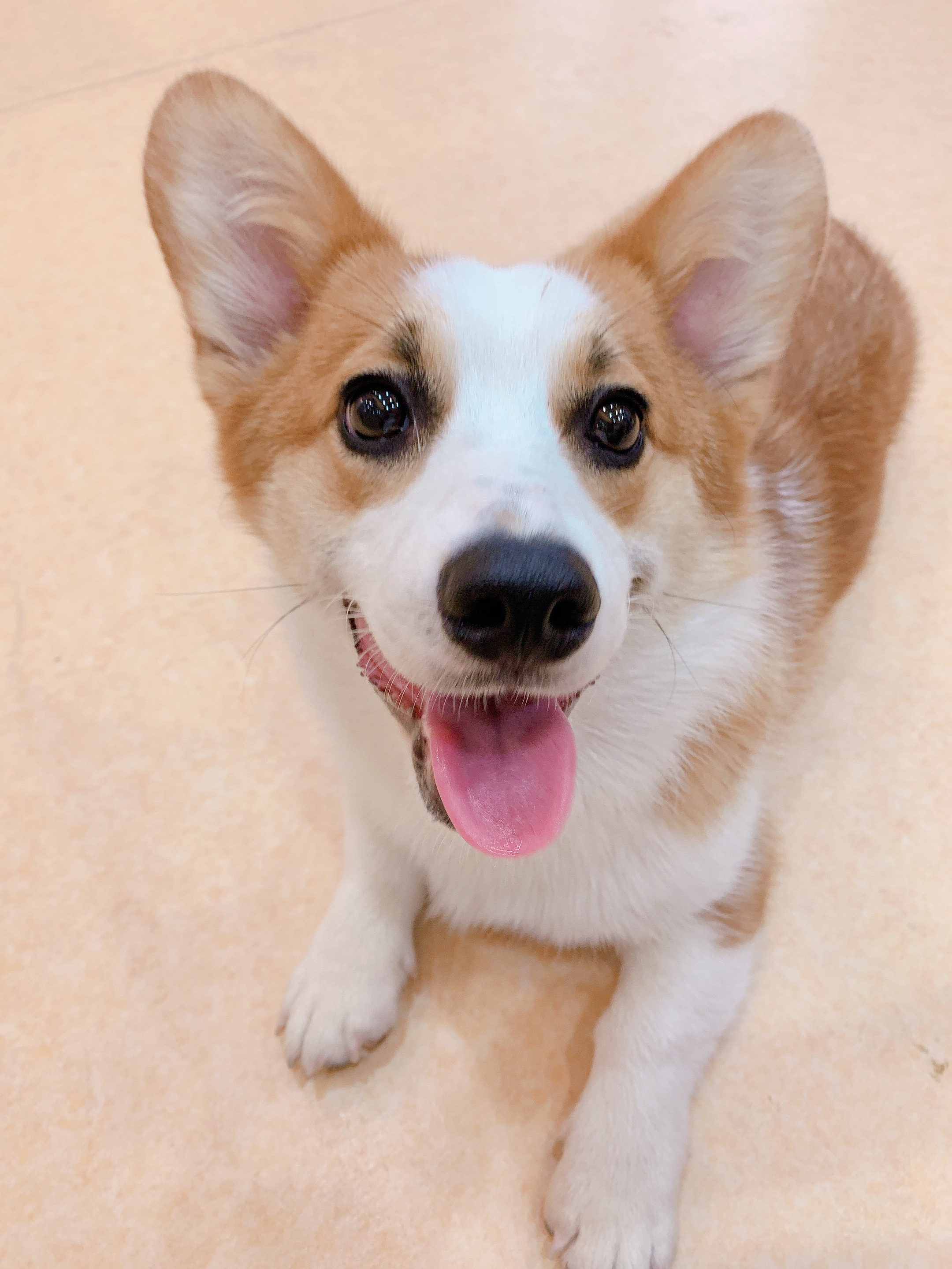 护脸护手霜推荐,秋冬季适合用哪款护手霜