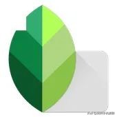 snapseed与美图秀秀,学会了美颜