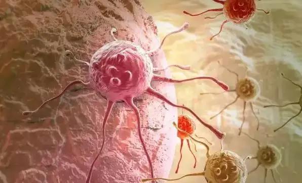 美国惊人发现:癌细胞最怕“爱”