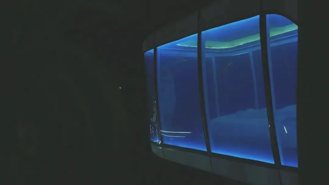 彭州太空舱营地,成都熊猫森林太空舱民宿