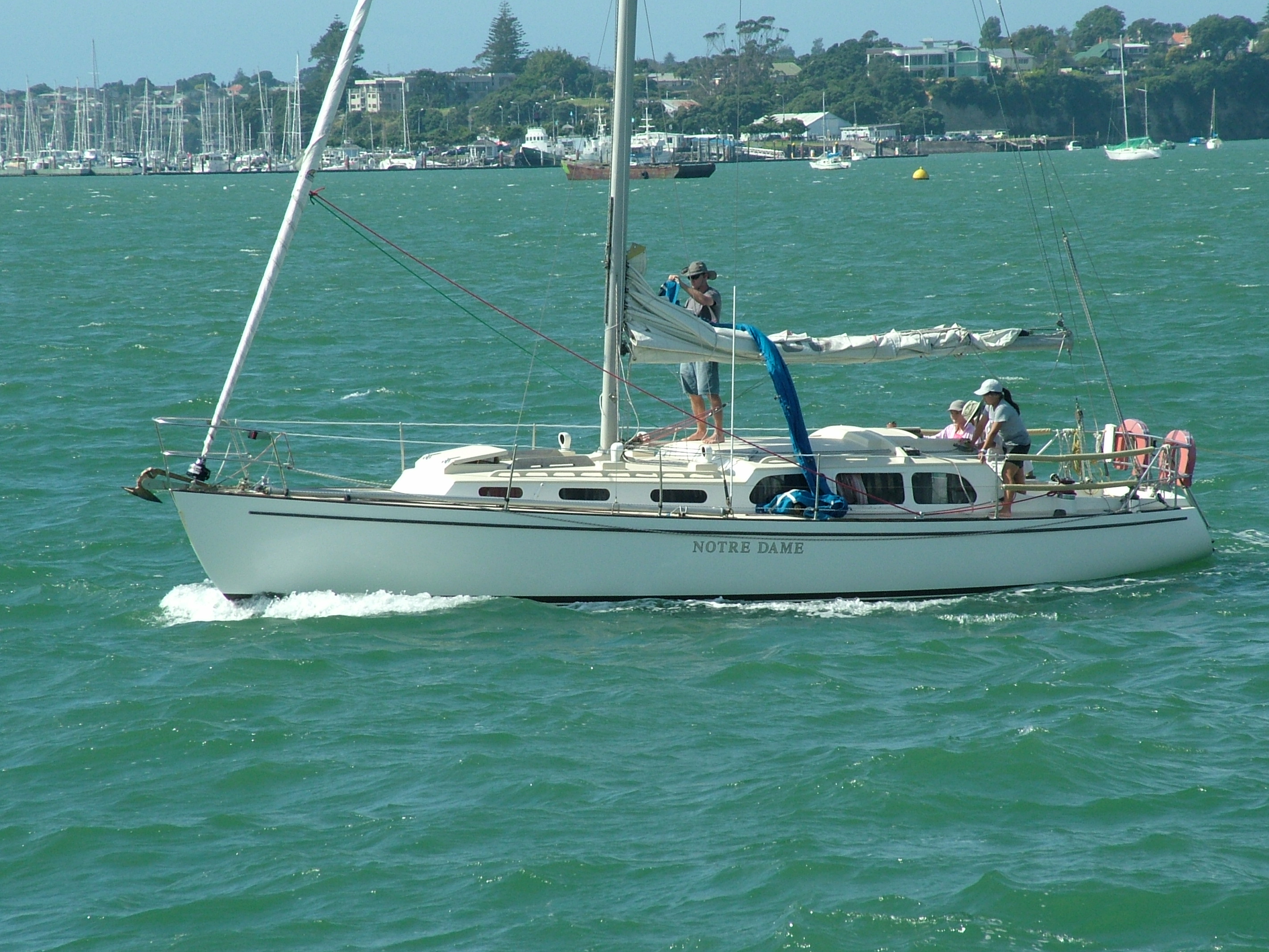 澳大利亚可以钓什么鱼,澳大利亚黄金海岸钓鱼