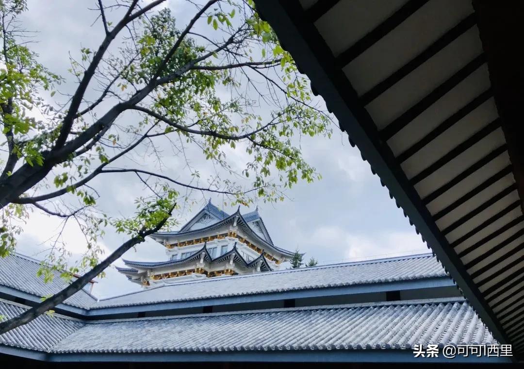 观念与灵魂的感悟,从一件小事到深度思考