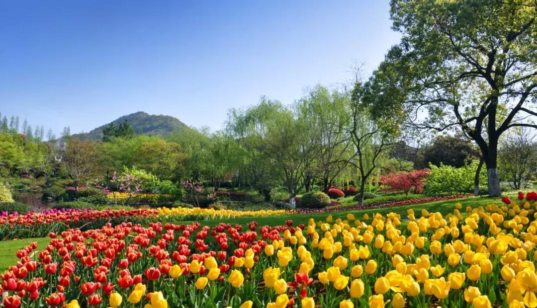 花百万做过哪些项目,花百万做秘密花园值得吗