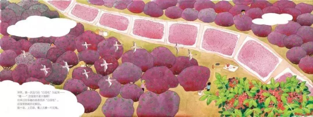 【羽佳读者专属定制】中国原创绘本节日礼品装，六一节前大放送