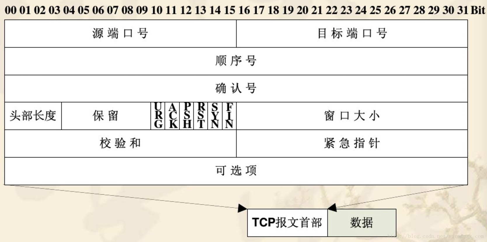 高级网络编程大全,高级程序员网络编程教程