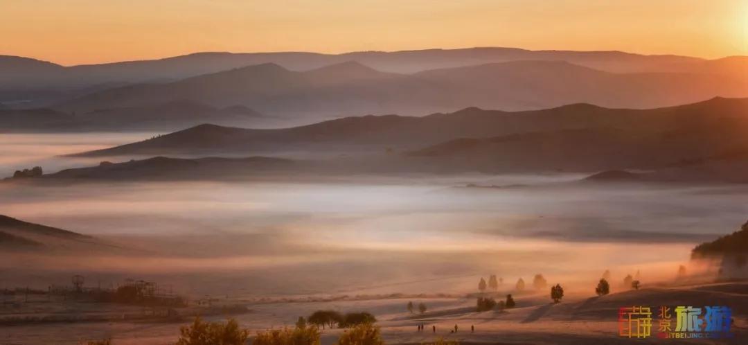 一到秋天,这里就美成了金色天堂!全世界独一份!