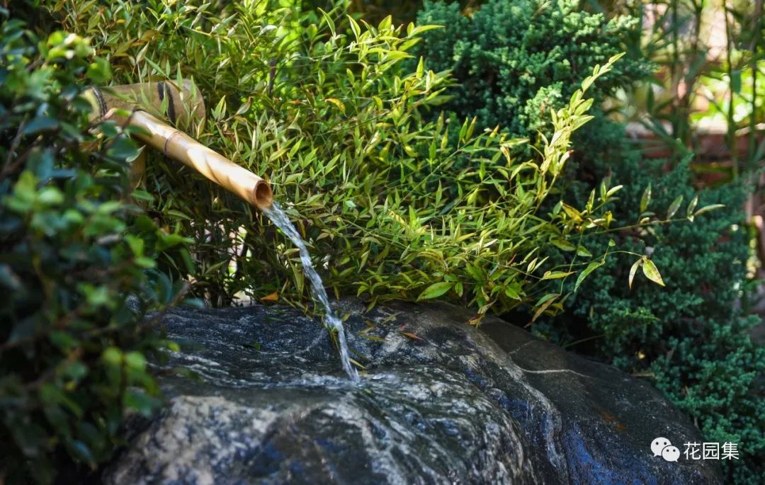 园林式办公区效果图,办公区花园景观设计