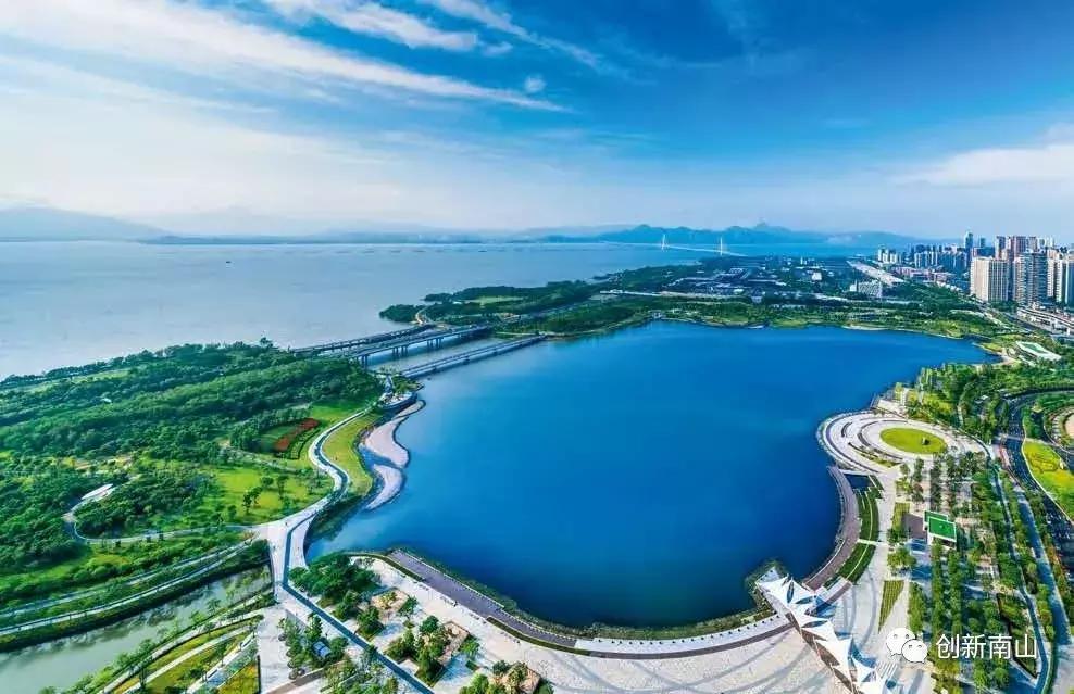 南山区为什么发展这么好,南山为什么是富人区