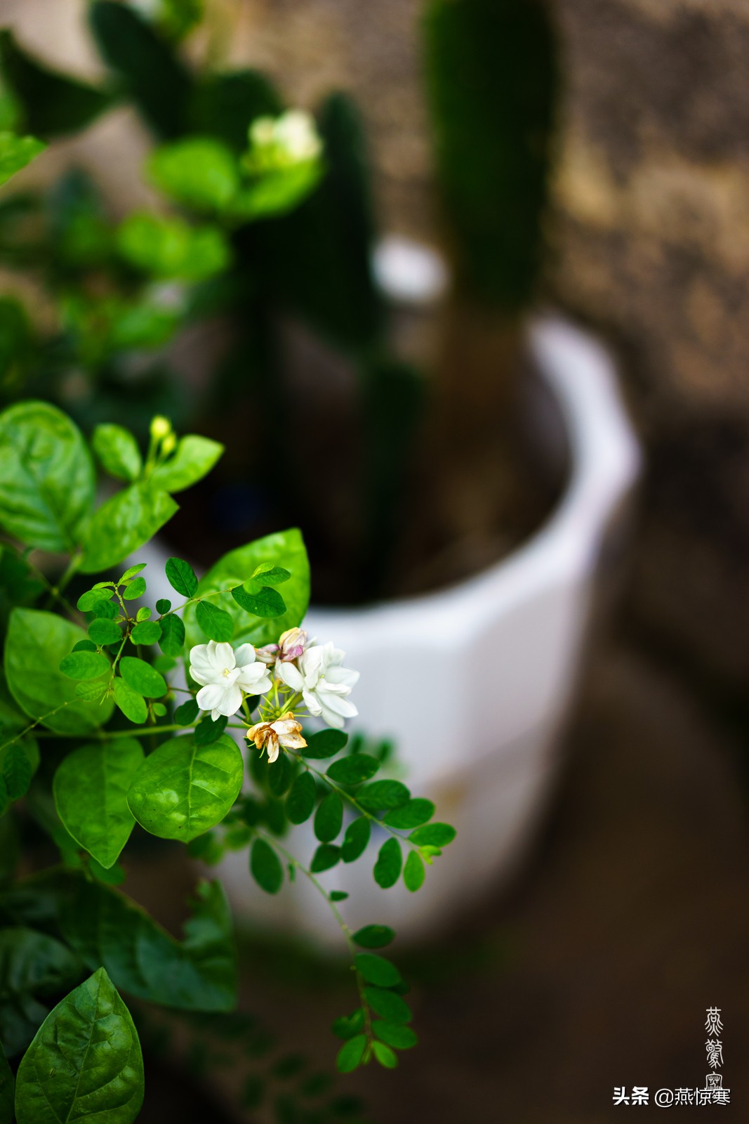 盘点一下我这些年用过的相机,回顾我用过的数码相机