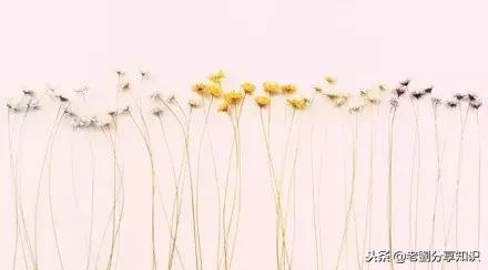 记住英语词汇的小技巧,记住英语525个句型