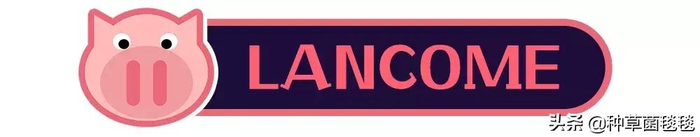 25块买啥,25块买什么东西