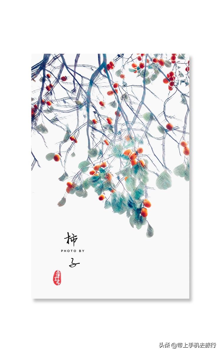 “减法”、虚化和“加法”,让画面瞬间干净简洁唯美