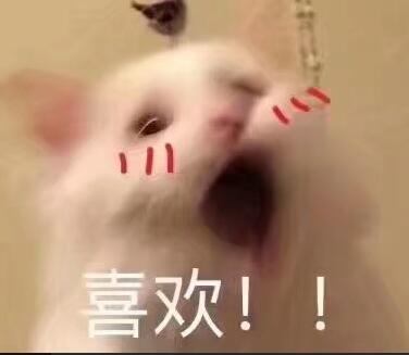 如何合理使用网盘安全,网盘安全吗个人还有隐私吗