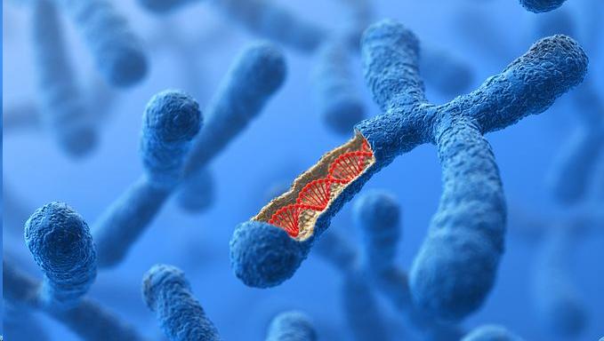 装修苯系物如何去除,苯系物污染装修