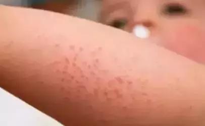 奶粉知识简短,奶粉知识大全讲解直播