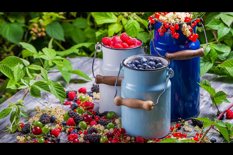 鸿鹄818芯片的智慧屏,鸿鹄818最强电视处理器