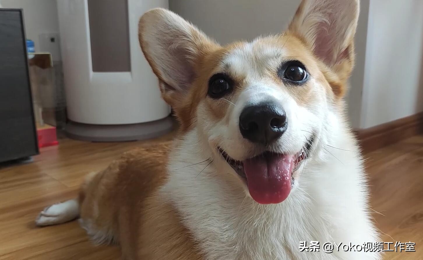 大学生买什么电脑性价比高,大学生买多少钱电脑合适