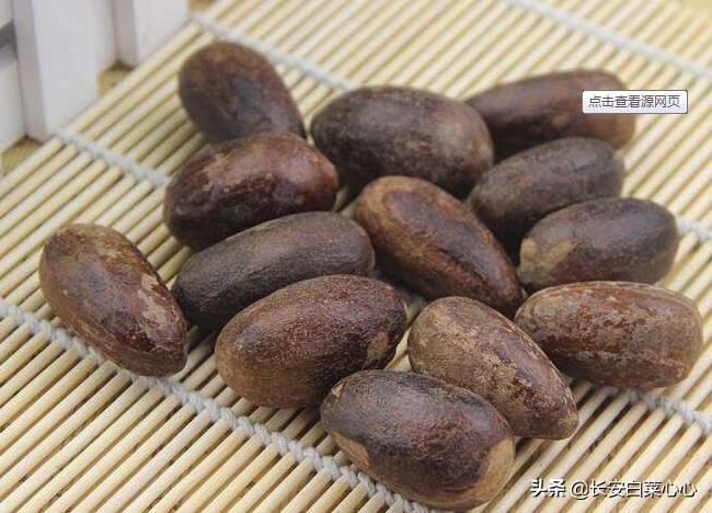 少数民族草果,蒙古人草果图片