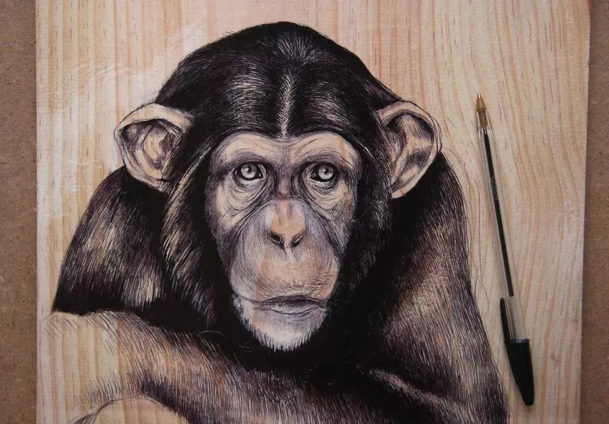 3d超写实彩铅画,超写实彩铅手绘细腻的让人咋舌