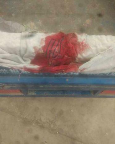 心理学怎么解释对小孩的恶意,心理学解释孩子的自卑