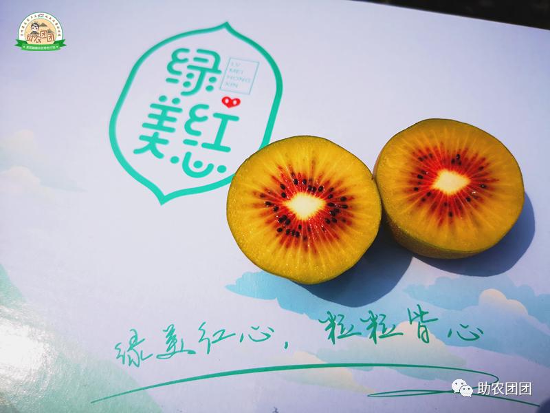 助农产品水果猕猴桃,贵州六盘水红心猕猴桃助农