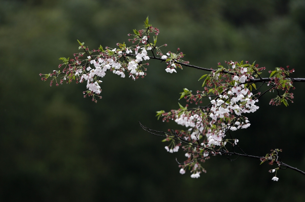 於潜景区,於潜镇有什么旅游景点