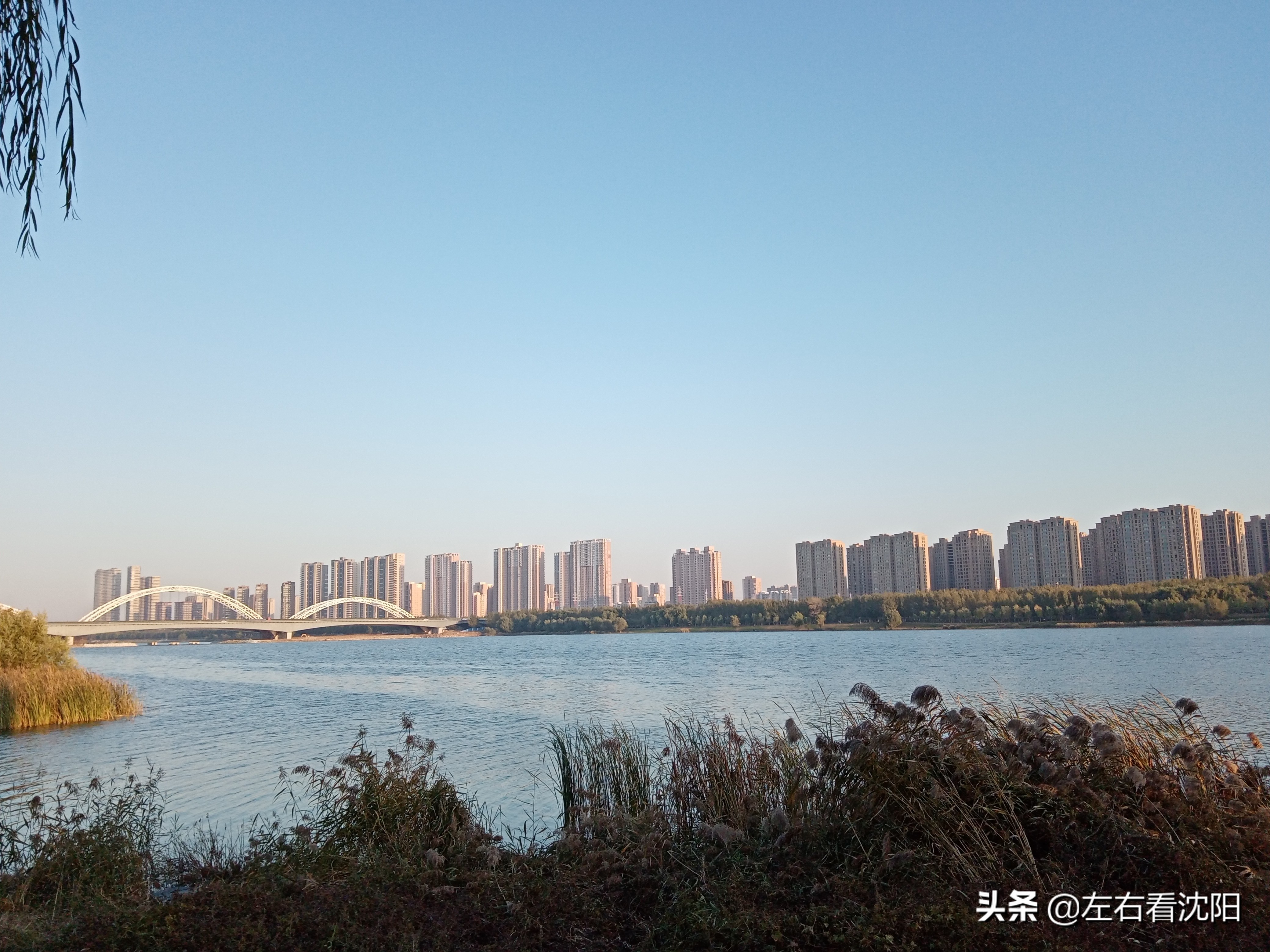 沈阳五里河公园攻略,沈阳五里河公园现在开吗