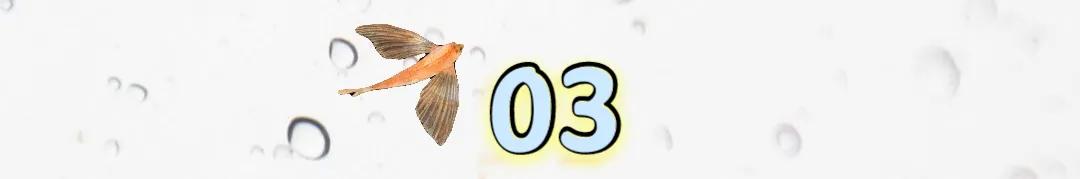 陈慧娴与梅艳芳实力,梅艳芳和陈慧娴的纷争