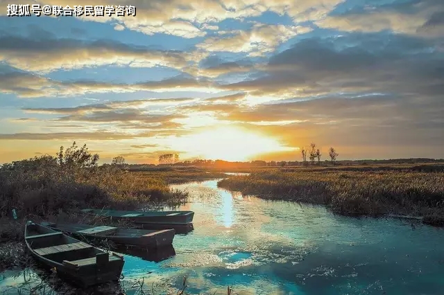 波兰工签近期通过率,波兰工签工作