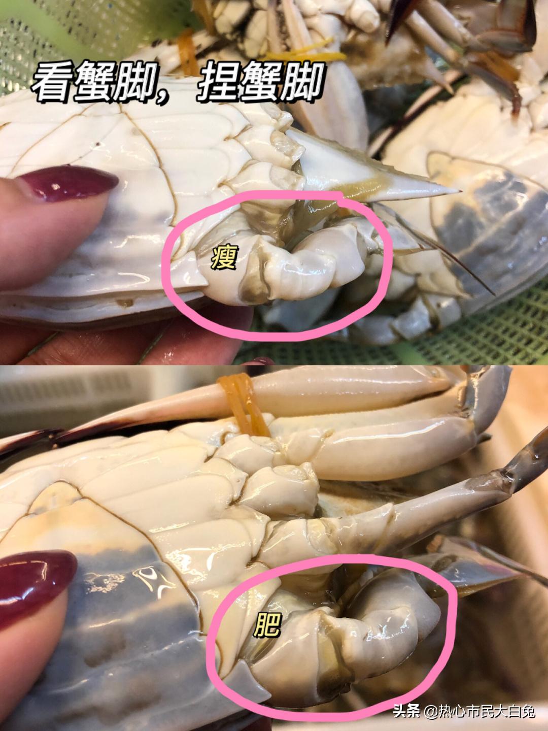 又到了吃螃蟹的季节你会挑吗,最适合吃螃蟹的季节是什么时候呢