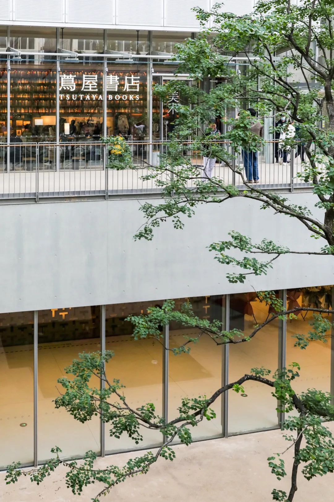 秋天值得逛的地方,秋天最适合旅游的城市推荐