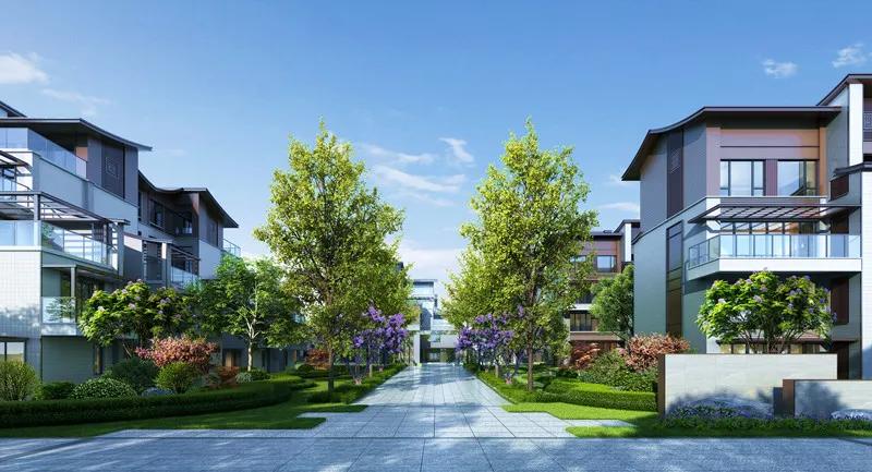 草堂先生小说,草堂先生杜甫简历