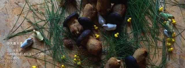 立秋成熟的味道,立秋大董新菜品