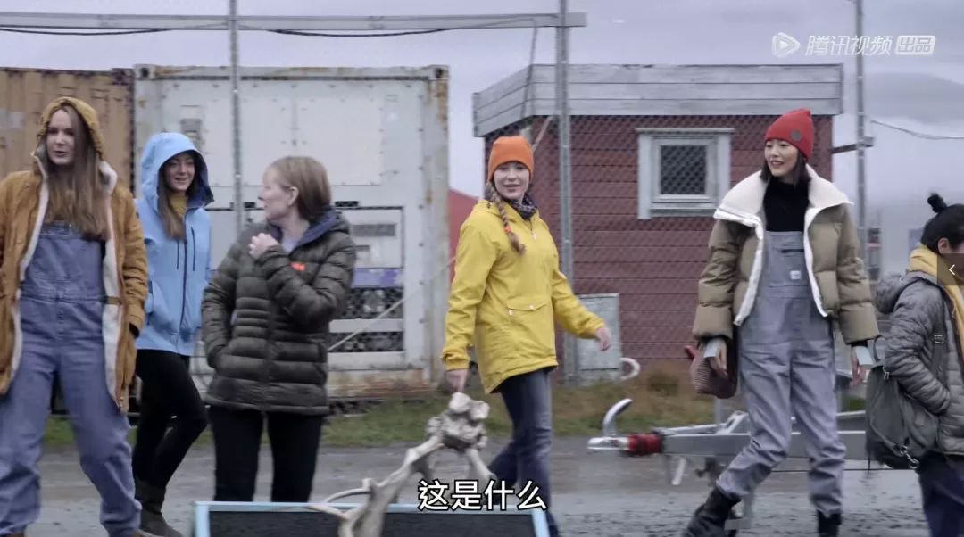 9大精选流行色,秋冬十大流行色排行榜