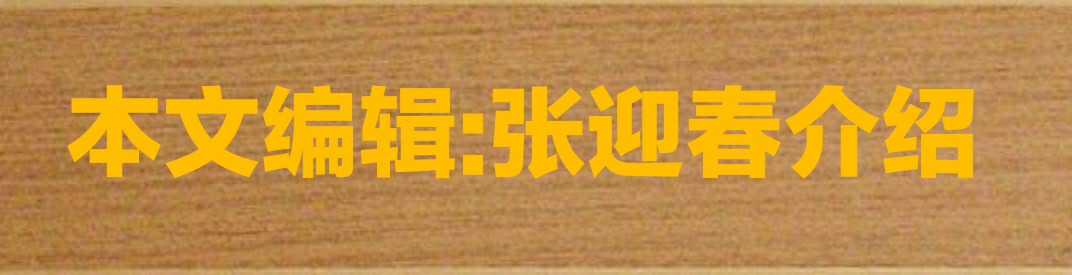 “翰墨飘香迎新年”金台老年大学学员书画作品网展