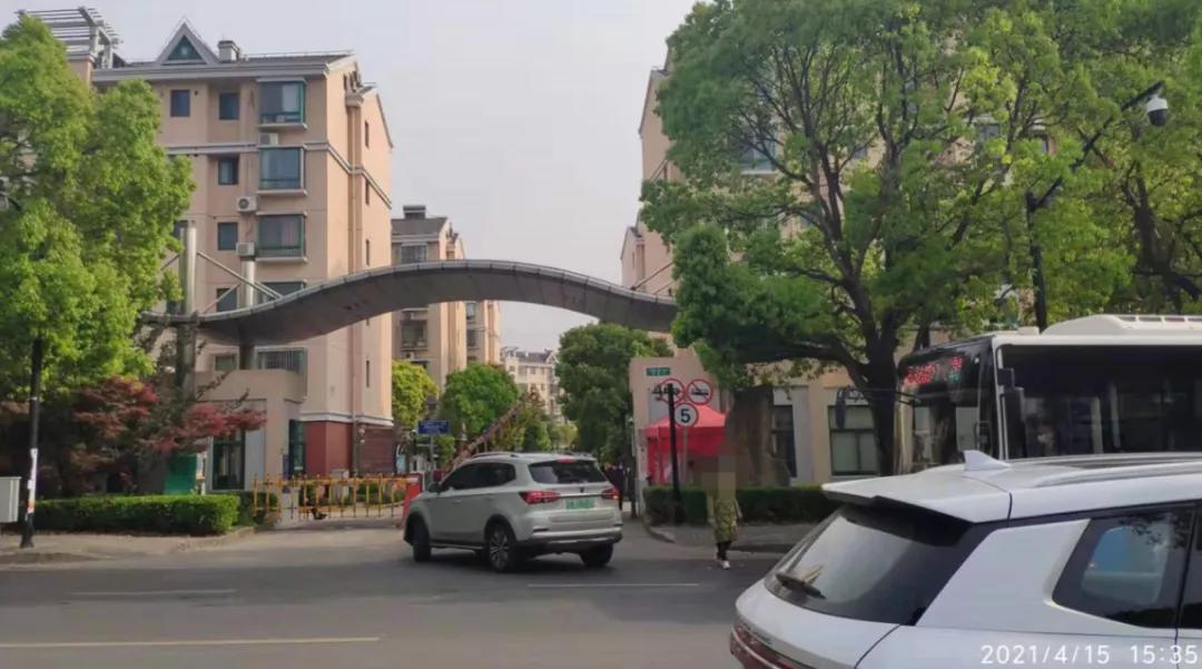 上海这个板块未来值得期待,上海的多肉品种