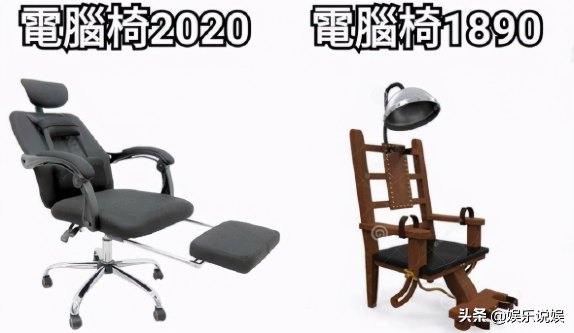 每日一笑，请问发骚门诊怎么走？大自然也好这口？纯白至臻小猫咪