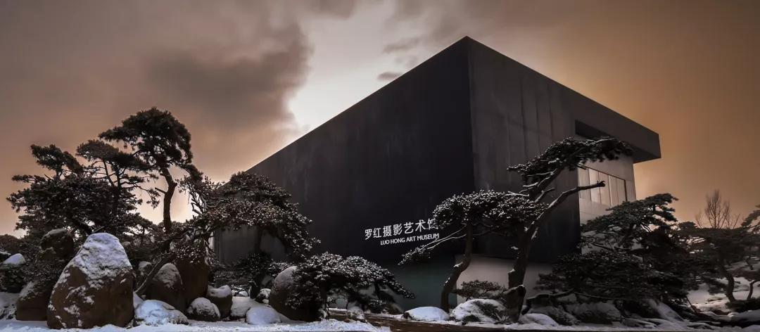 好利来算不算小蛋糕,好利来蛋糕地位