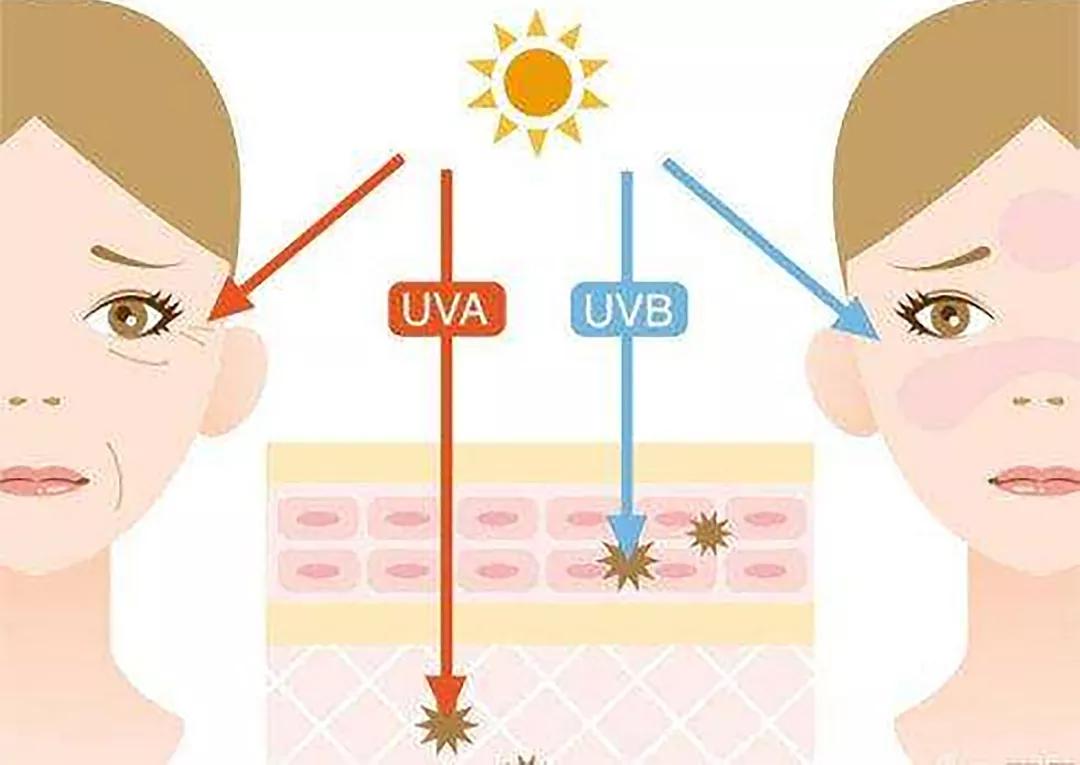 我的12月爱用物,10件超好用单品让你一次看个够