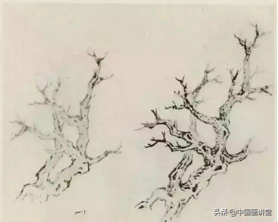 缠枝、挺杆、屈节、钮裂、一棵树如何画？看了这篇你绝对能学会