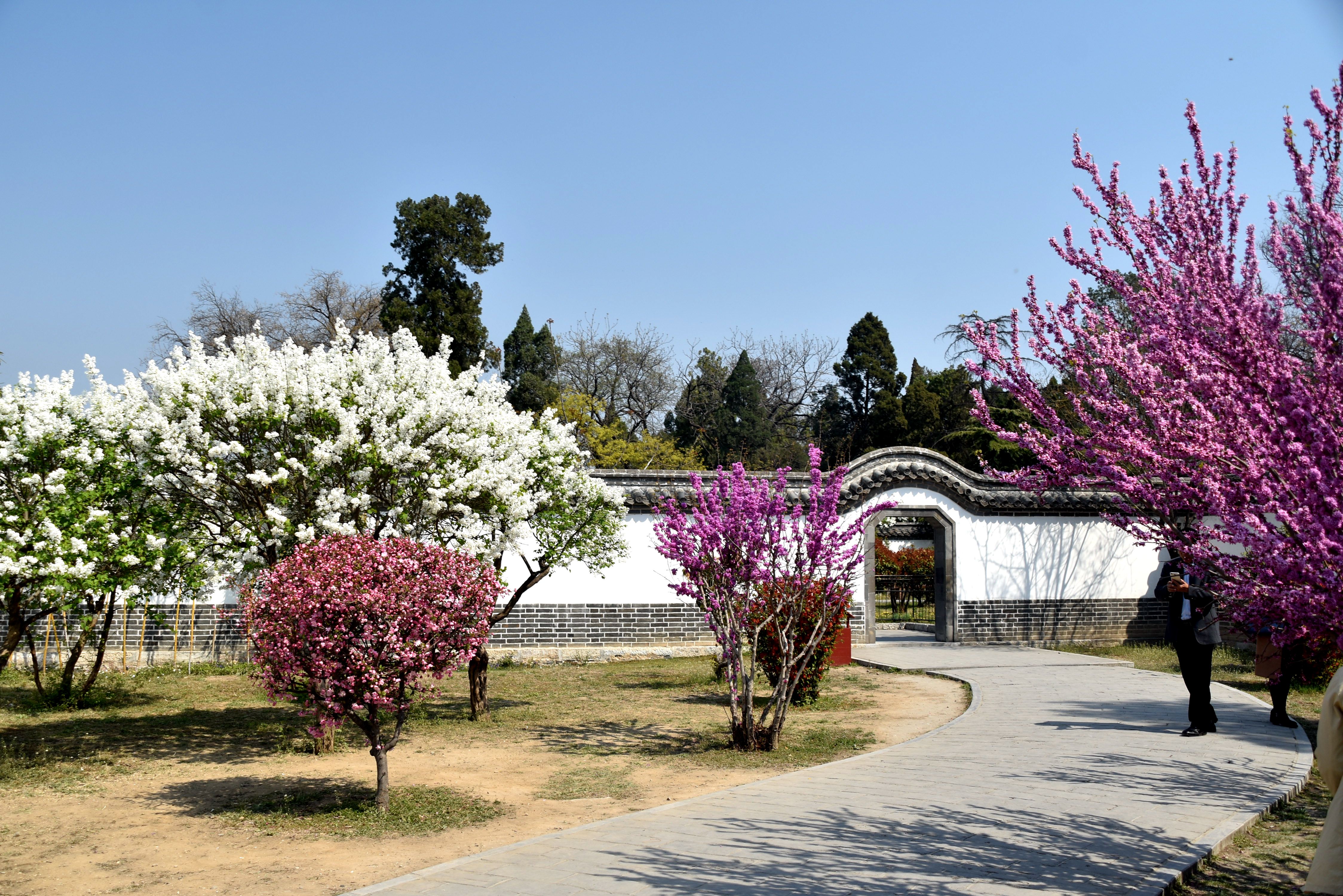 孔府里有一幅《戒贪图》，大义凛然，用心良苦，大家知道吗？