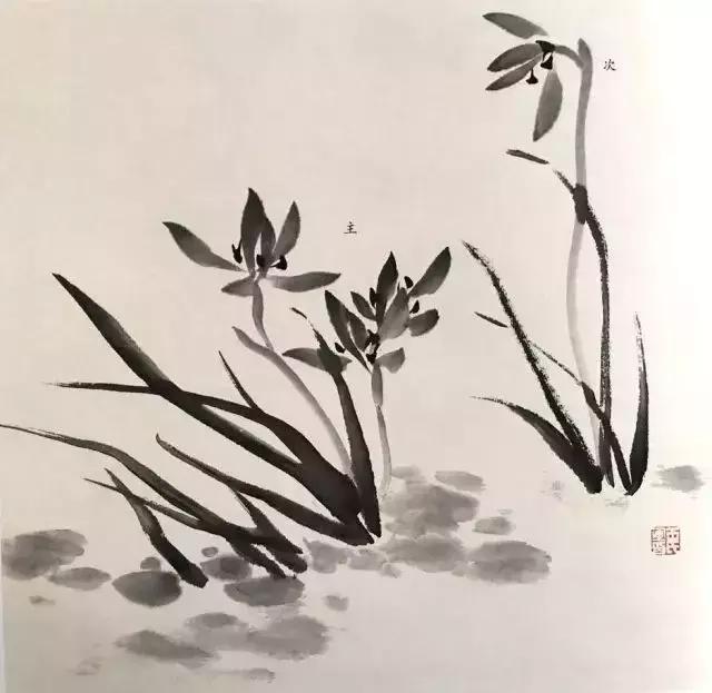 如何画兰花最好看的,君子兰花如何画