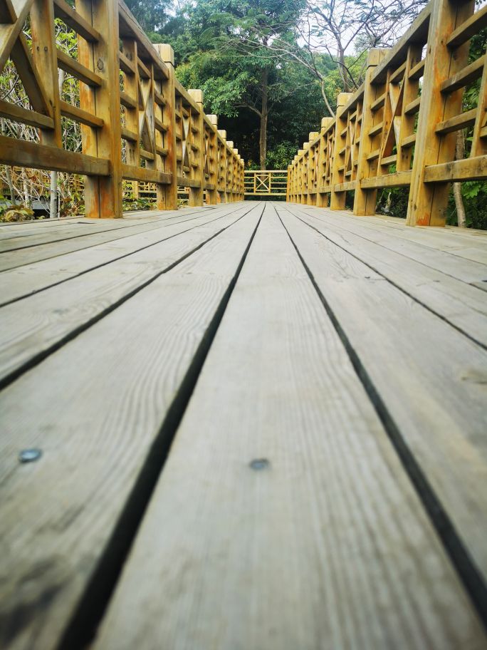 深圳宝安海滨公园游园图,深圳市娱乐场所